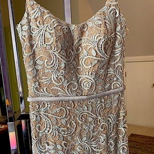 Prom/evening/wedding dress